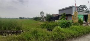 Depelover kembali kecewakan konsumen