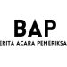 Berita Acara Pemeriksaan