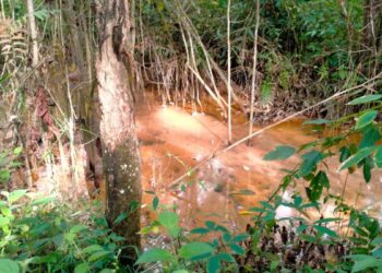 Limbah PT. ODIRA ENERGI di Banyuasin, disengaja atau lalai ?