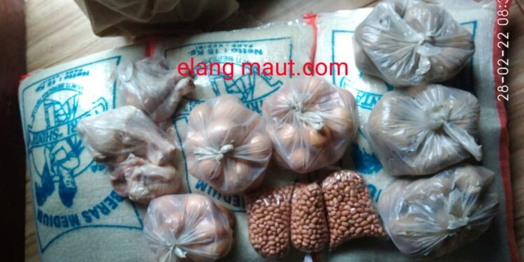 Banyak  Tikus dalam  Penyaluran Bansos Di Kabupaten Kediri