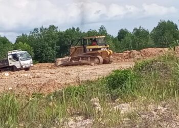 Oknum Pengusaha Diduga Menyulap Hutan Bakau Jadi Botak