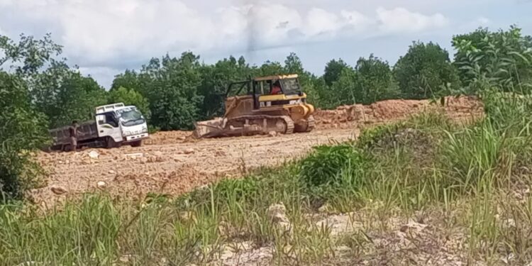 Oknum Pengusaha Diduga Menyulap Hutan Bakau Jadi Botak