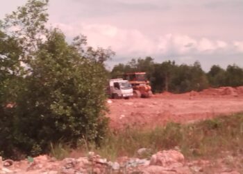 Astaga !  Hutan Bakau  Jadi Lahan Perumahan Di Sagulung