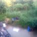 Truk Singkong Terjun Bebas Ke Sungai