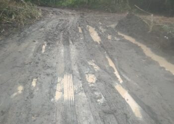 Jalan Produksi Perkebunan Diduga Dikerjakan Asal-asalan.