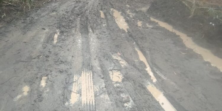 Jalan Produksi Perkebunan Diduga Dikerjakan Asal-asalan.