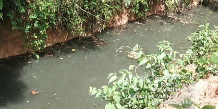 Benarkah Pemkab Banyuasin Melindungi PT Odira?