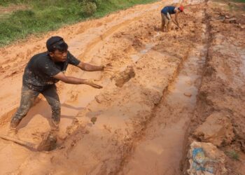 JALAN UNTUK KERBAU ATAU MANUSIA ?, TUNGKAL ILIR BANYUASIN