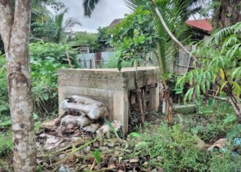 Proyek APBD Jembatan “Buntung” Di Betung Banyuasin Di Keluhkan Warga.
